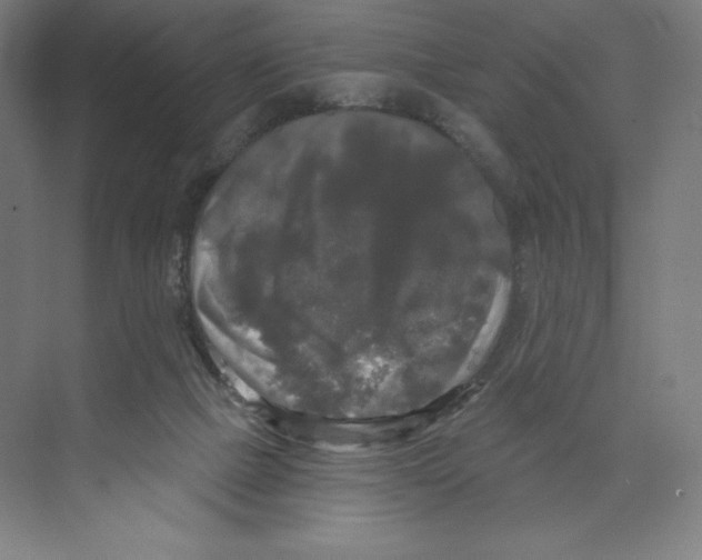 X0000068810073200606021602