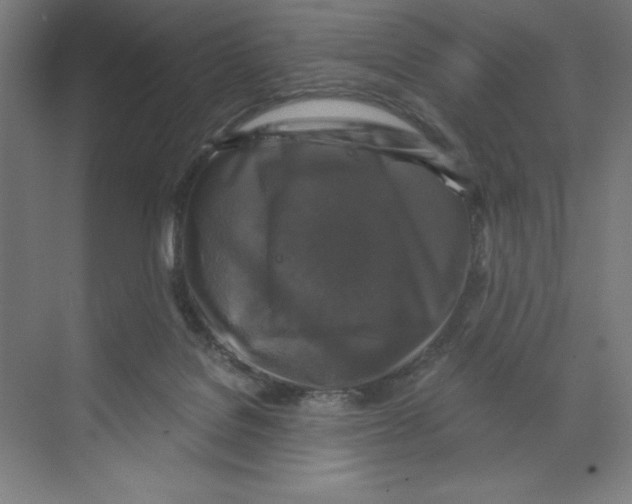 X0000068810076200606021602