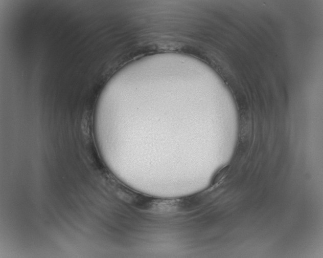 X0000068810078200606021602