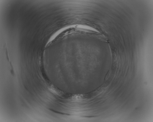 X0000068810080200606021602
