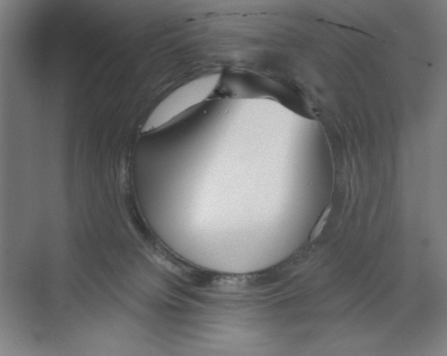 X0000068810084200606021602