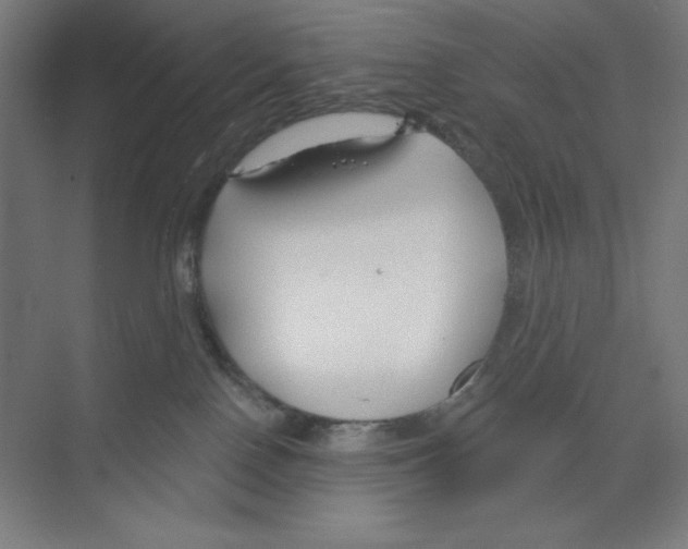 X0000068810090200606021602