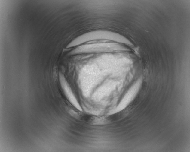 X0000068810093200606021602