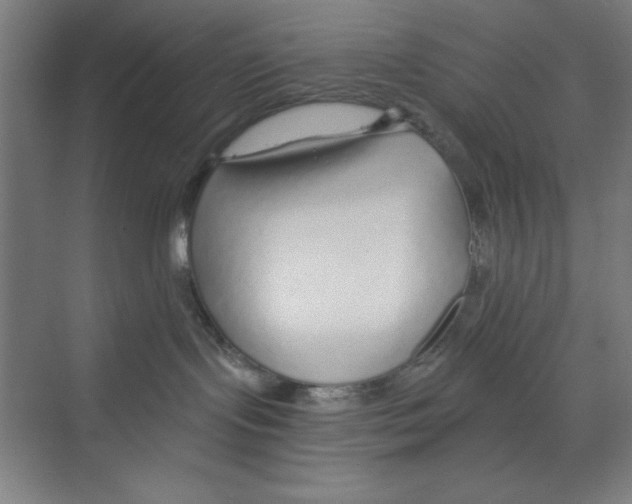 X0000068810095200606021602