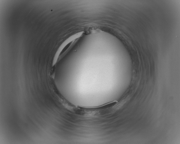 X0000068810096200606021602