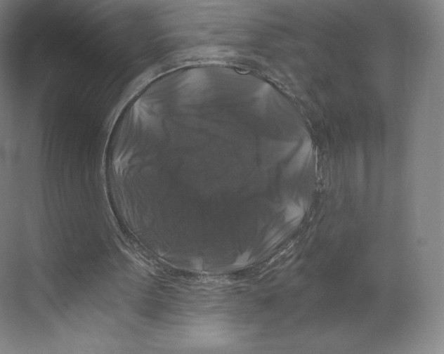 X0000068810099200606021601