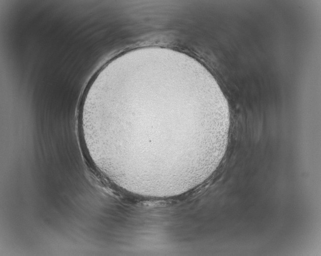 X0000068810100200606021601