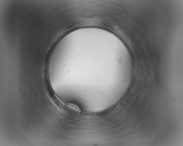 X0000068810107200606021601
