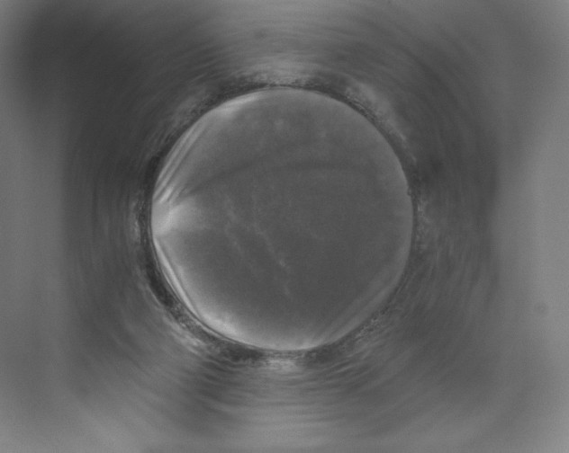 X0000068810114200606021601