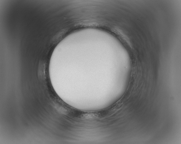X0000068810115200606021601