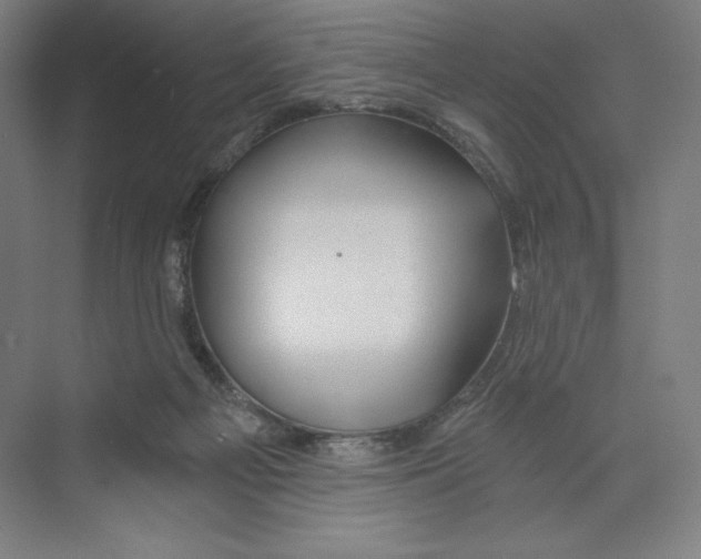 X0000068810121200606021601