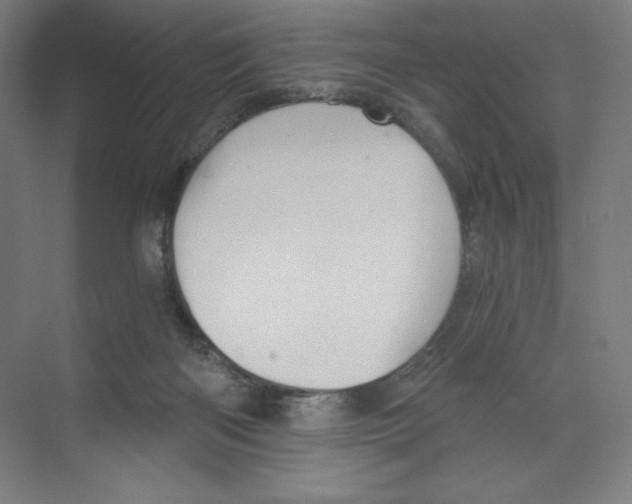 X0000068810122200606021601