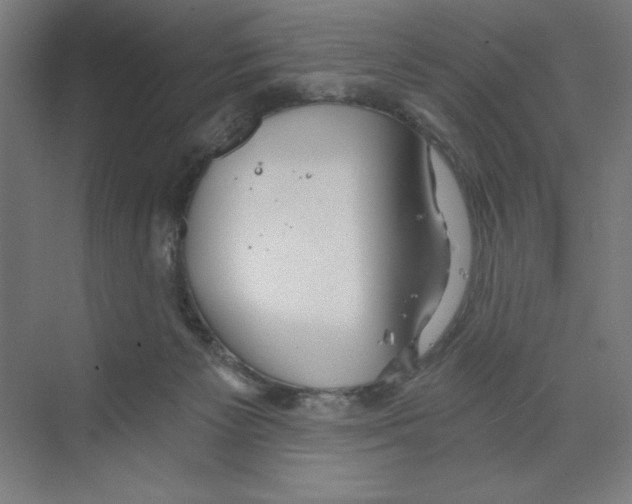 X0000068810125200606021601