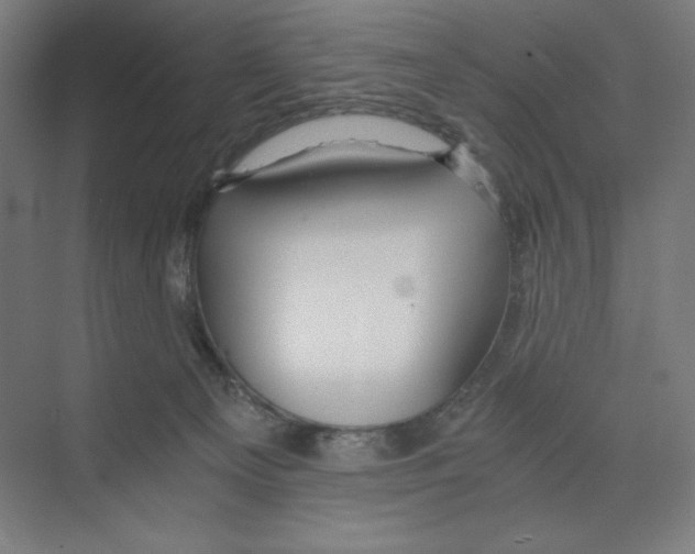 X0000068810129200606021601