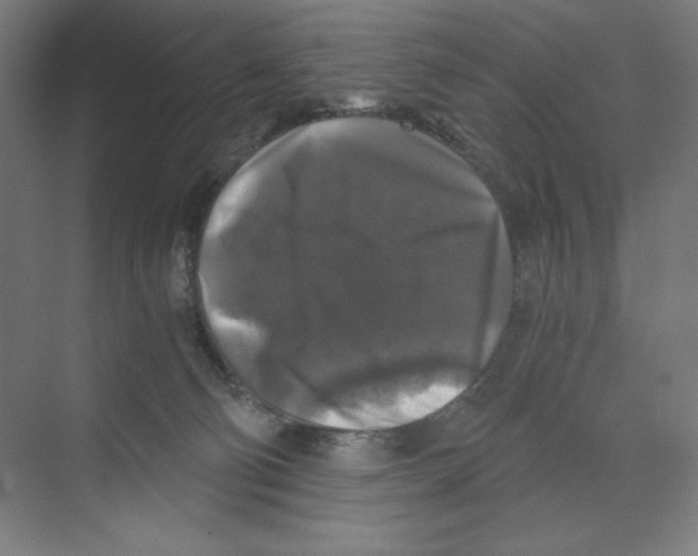 X0000068810130200606021601