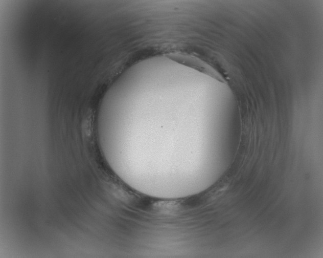 X0000068810133200606021601