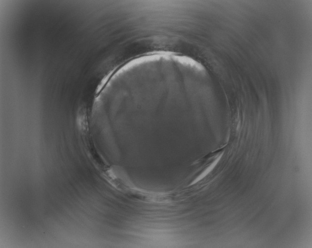 X0000068810137200606021601