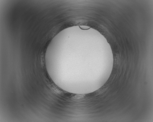 X0000068810138200606021601