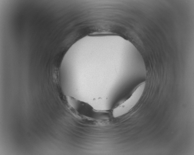 X0000068810141200606021601