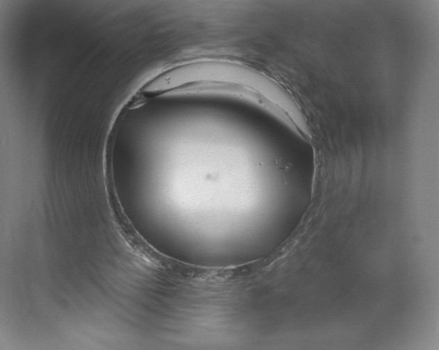 X0000068810148200606021600