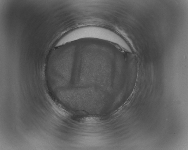 X0000068810154200606021600
