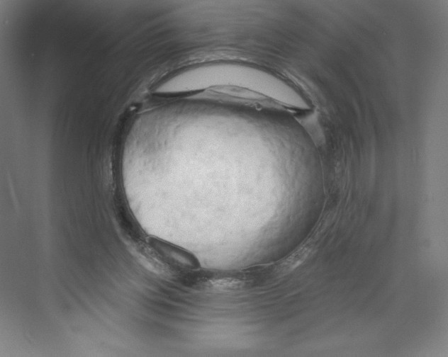 X0000068810158200606021600
