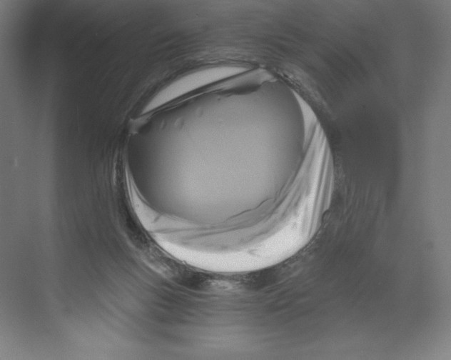 X0000068810167200606021600