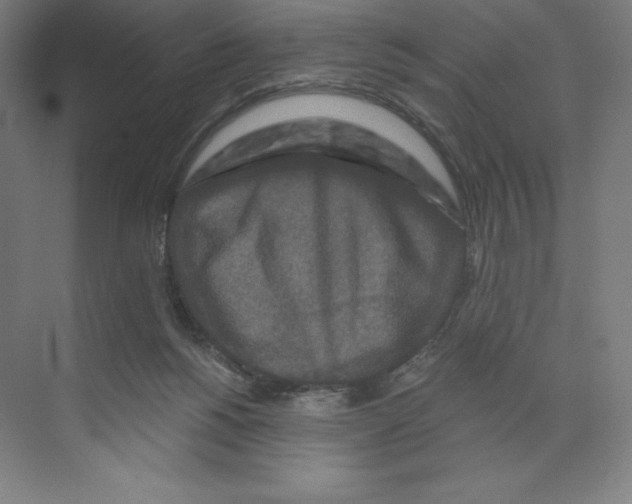 X0000068810168200606021600