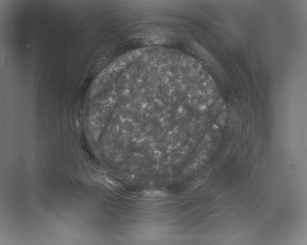 X0000068810169200606021600