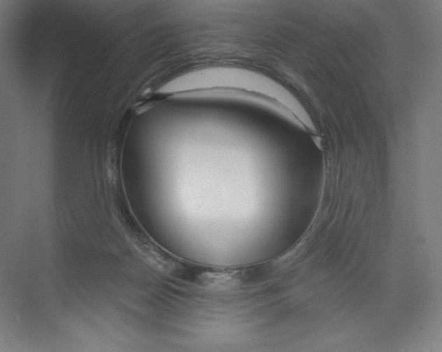 X0000068810170200606021600