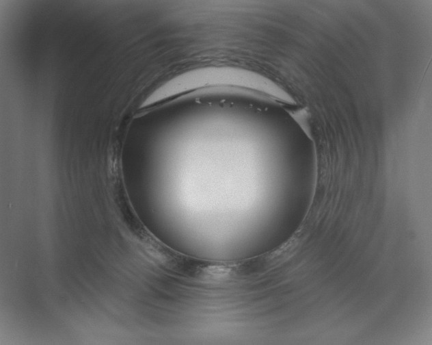 X0000068810176200606021600