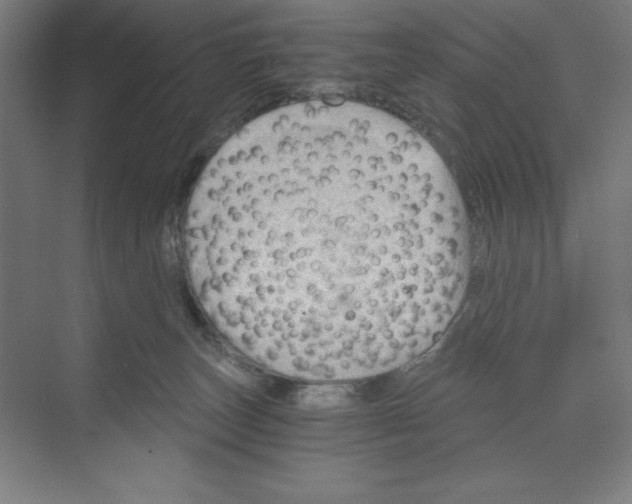 X0000068810179200606021600