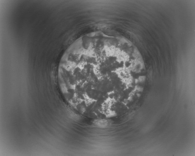 X0000068810181200606021600