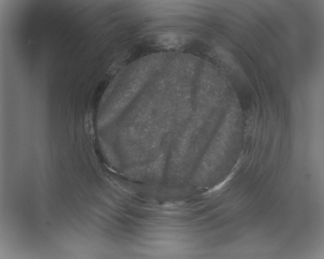 X0000068810182200606021600