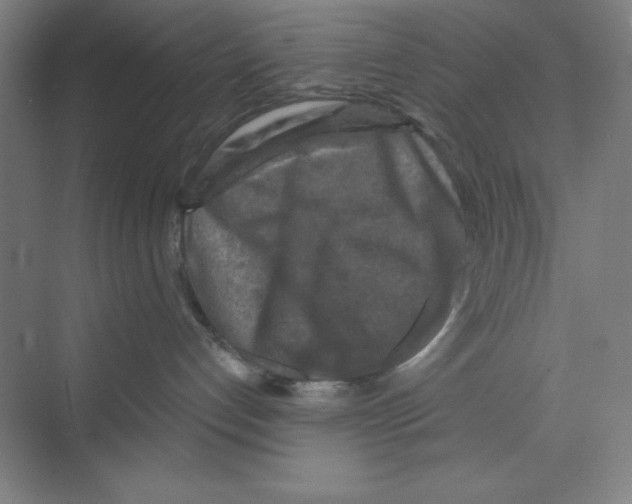 X0000068810192200606021600