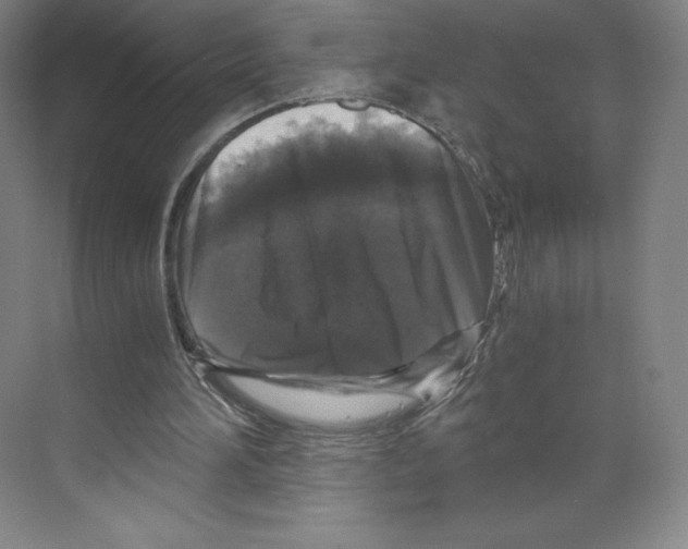 X0000068810196200606021600