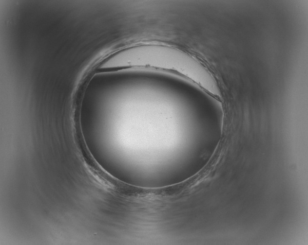 X0000068810197200606021600