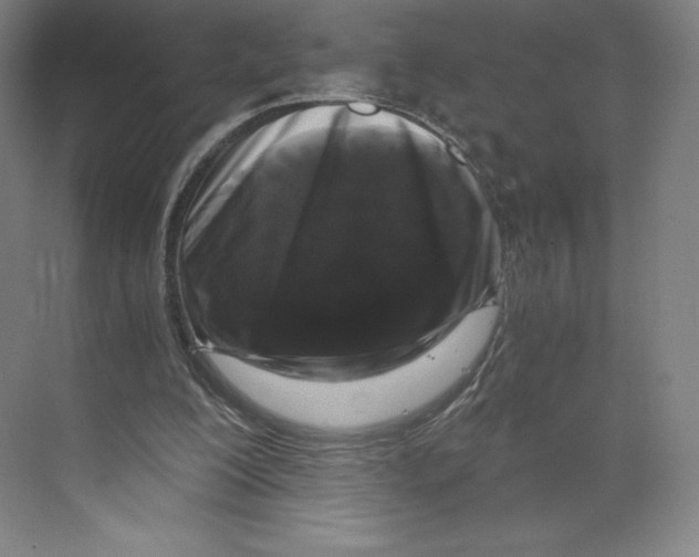 X0000068810200200606021600
