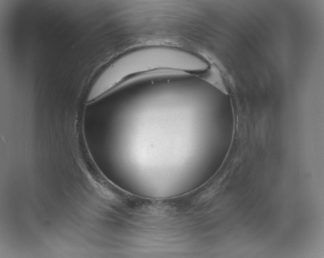 X0000068810201200606021600