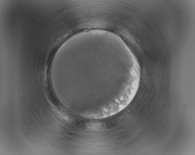X0000068810202200606021600