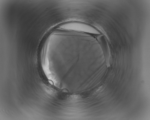 X0000068810204200606021559
