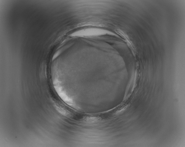 X0000068810205200606021559