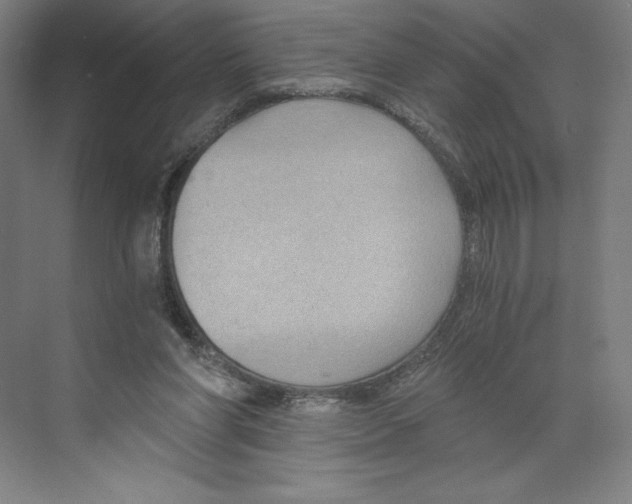 X0000068810206200606021559