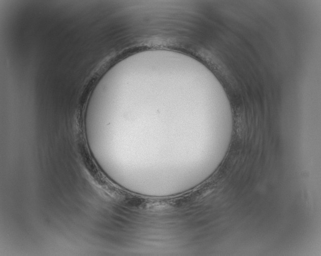 X0000068810208200606021559