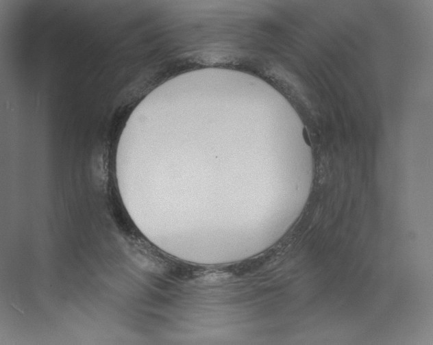 X0000068810210200606021559