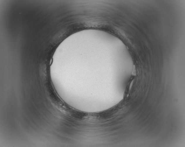 X0000068810211200606021559