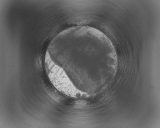 X0000068810214200606021559