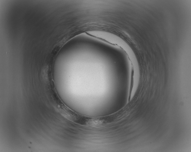 X0000068810217200606021559