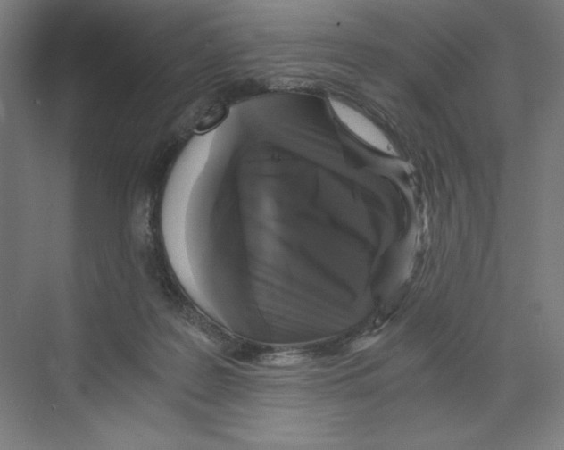 X0000068810219200606021559