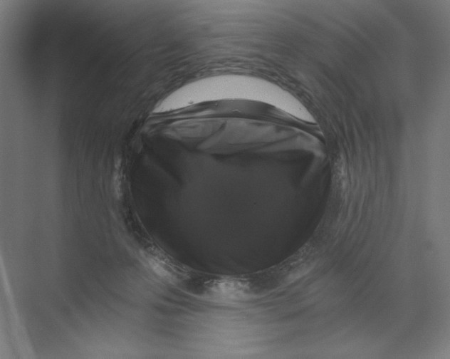X0000068810223200606021559